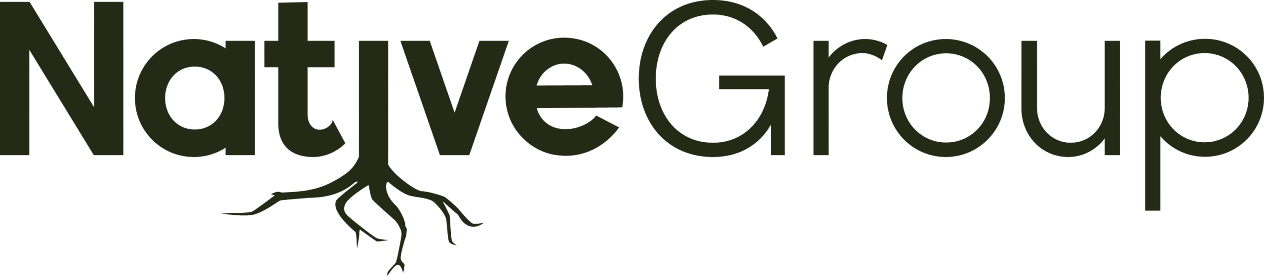 The Native Group