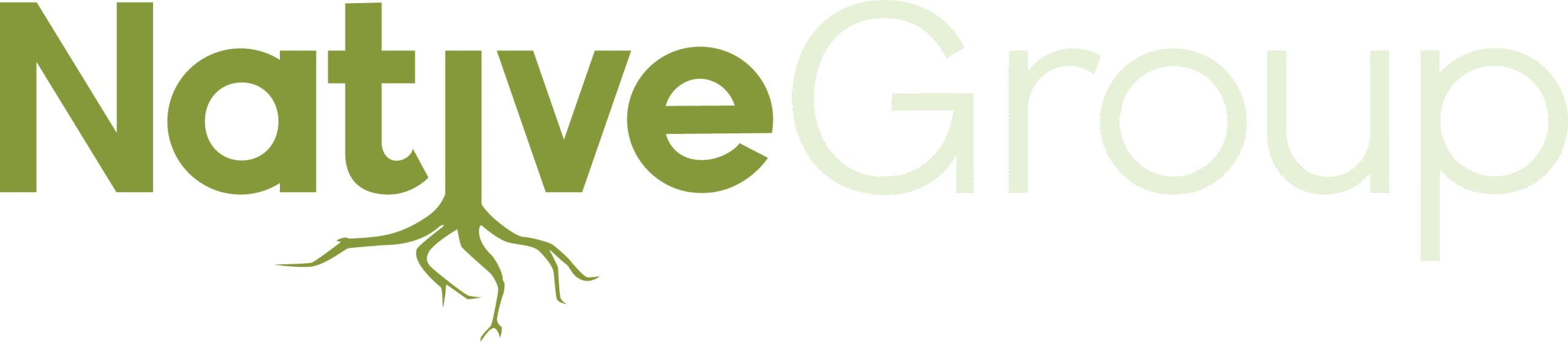 The Native Group